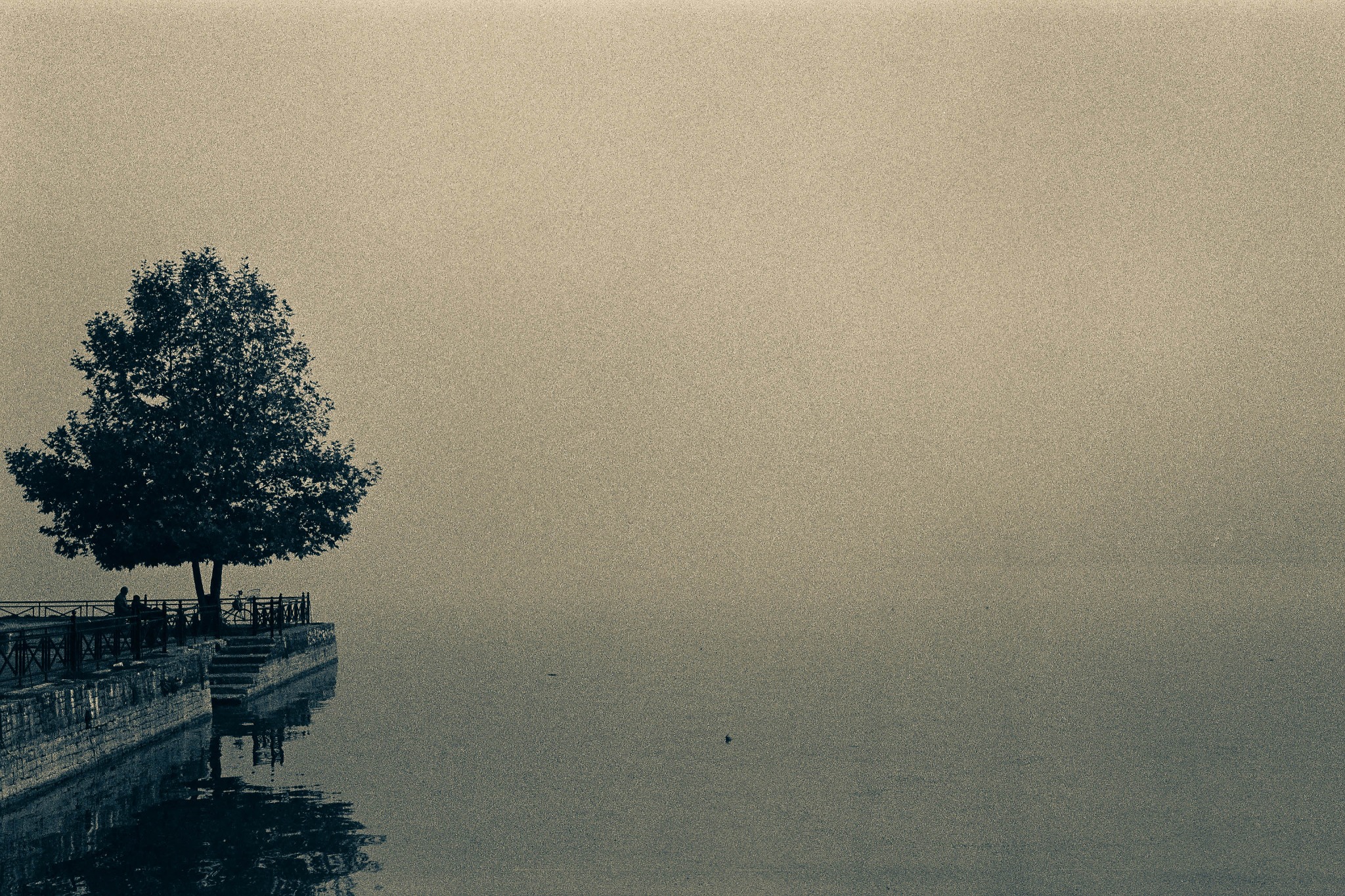 A grainy, mist-covered lake with a dark tree-lined shore