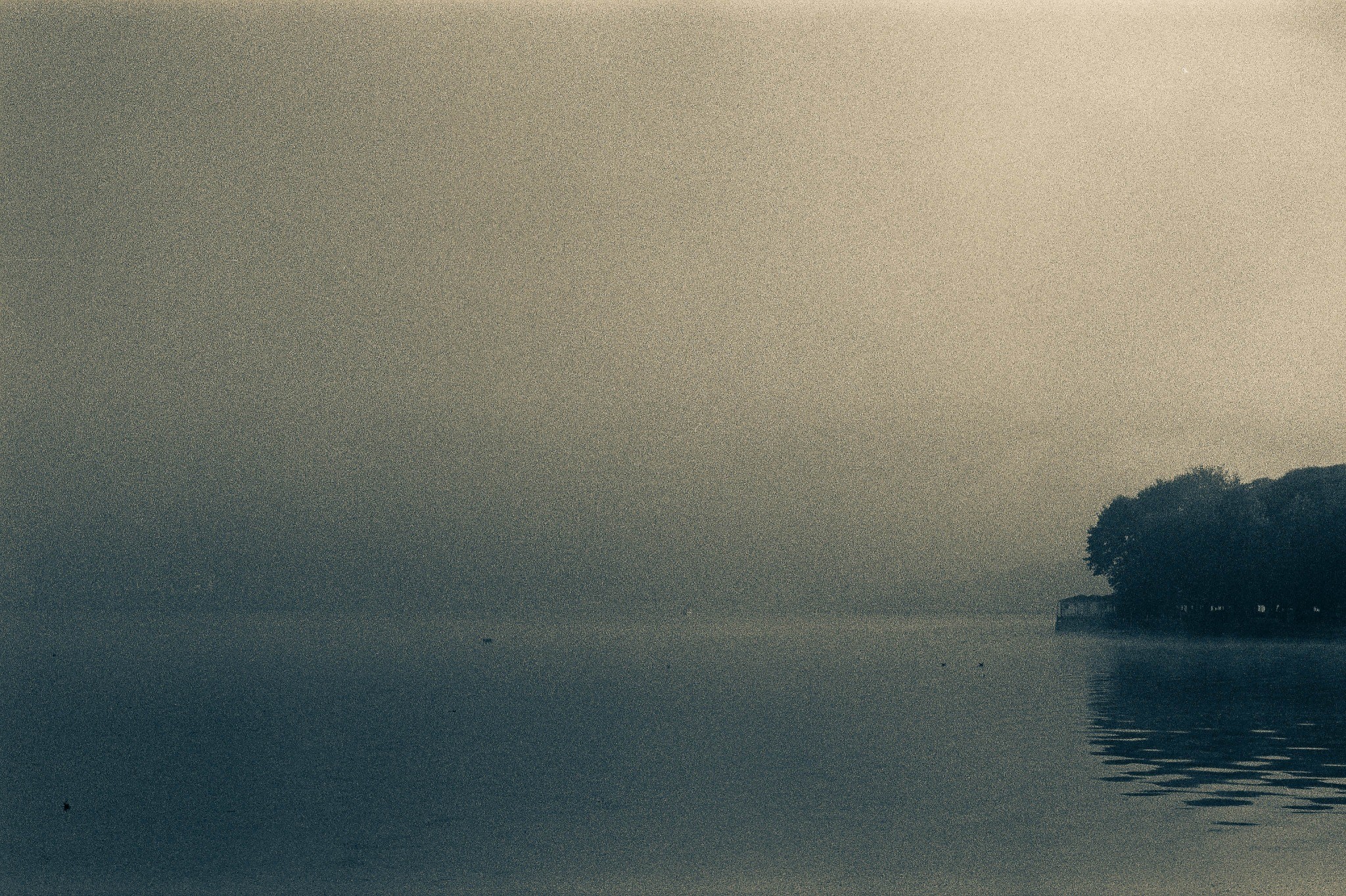 A grainy, mist-covered lake with a dark tree-lined shore